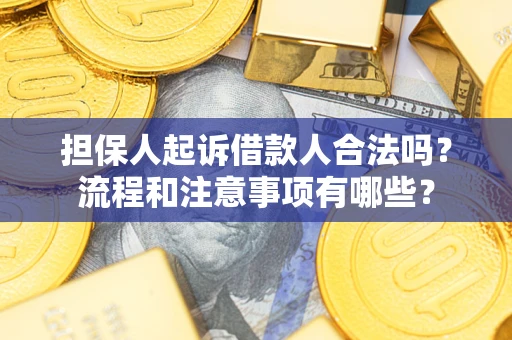 济南担保人起诉借款人合法吗？流程和注意事项有哪些？