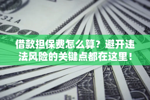 济南借款担保费怎么算？避开违法风险的关键点都在这里！