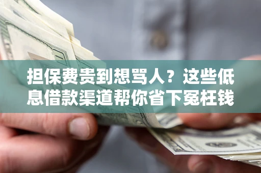 济南担保费贵到想骂人？这些低息借款渠道帮你省下冤枉钱