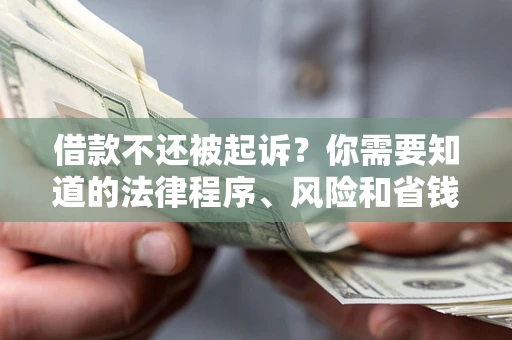 济南借款不还被起诉？你需要知道的法律程序、风险和省钱技巧